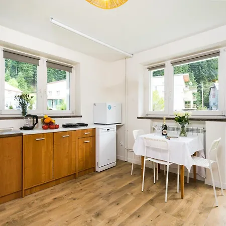 Kropla Ciszy - Horizon Apartment *